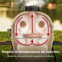 Barbacoa de Carbón Cerámica Cecotec Dragonfire 3200 Kamado 32 cm - details 2