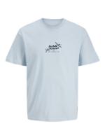 Jack & Jones NEW 25 Hombre Pack 2 Camisetas de Algodón  DE 160 Grs Serie JORJUKA SS25  Logo estampado Moda Casual Informal  REF 286112 - details 6