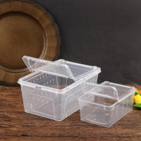 Caja De Cría Para Reptiles Acrílico Transparente 1 Pc Tanque De Tortugas Lagartos Insectos Y Araña Caja De Vitrum Para Mascotas - details 8