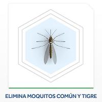 Raid - Recambio para Difusor Eléctrico Anti Mosquitos Comunes y Tigre 135 Noches - details 1