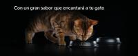 Purina ProPlan Gato Suplemento Multivitaminas 60 gr. Suplemento Multivitaminico para Gatos - Suplementos para Gatos - details 7