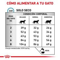 Royal Canin Pienso Anallergenic Para Gatos 4 Kg - details 3