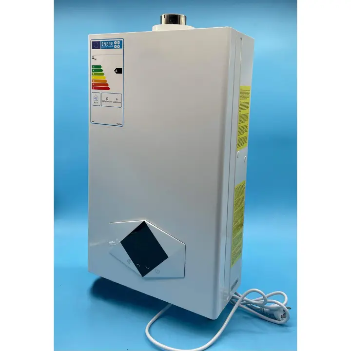 Calentador Estanco Gas Butano 12 Litros | Uso Domestico | Calificación Energética A | Tiro Forzado | Bajas Emisiones de Nox - 1
