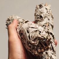 Ramo De Sándalo Blanco De 10cm Palo De Encensado Para Limpieza Energética Aromaterapia Calidad California - details 16