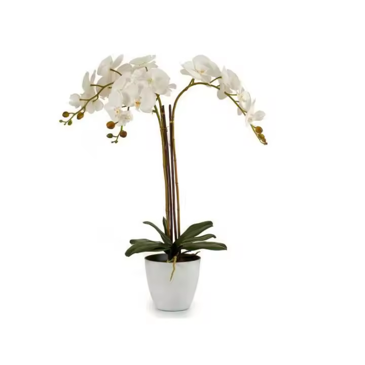 Factory Cuadros - Planta Orquídea Adaya Blanca con Maceta - Decoración Elegante - 1