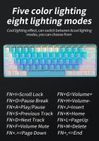Teclado Mecánico MUCAI 61 Teclas RGB Para E-sports Intercambiable Y Portable Ideal Para Oficina Y Juegos Con Switches Rojos - details 7