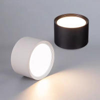 Lámpara De Techo LED Nordic 9W 15W 20W Montada En La Superficie Iluminación Interior Para Sala De Estar Y Dormitorio AC220V Negro Y Blanco - details 0