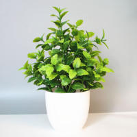 1PCS Decoración De Escritorio Con Plantas Artificiales Paisaje Bonsái Para Oficina Hogar Estante De Mesa Accesorios De Fiesta De Boda PVC - details 12