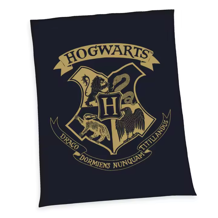 HERDING Manta Polar Harry Potter Hogwarts Licencia Oficial 150x200cm - 1