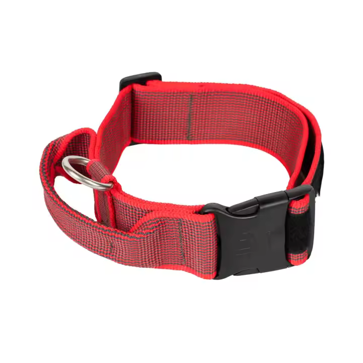 Collar con asa de agarre Julius-K9 ,collar para perros adultos y cachorros - 1