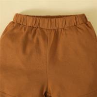 Conjunto De Ropa Para Bebé Niño Dinosaurio De Dibujos Animados 0-3 Años 2PCS Camiseta Corta Blanca Y Shorts Marrón Estilo Deportivo Moda Bonita - details 3