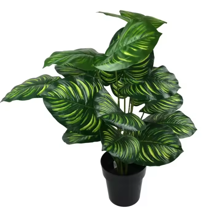 STARLEY-Planta artificial Ficus 70cm - 1