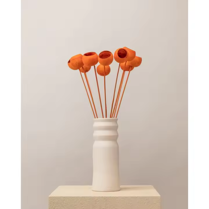 Bell cup naranja - 1