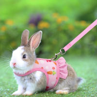 Juego De Correa Para Conejo Universal Con Estampado De Radish En El Pecho Y Cuerda De Tracción Al Aire Libre Accesorios Para Mascotas - details 4
