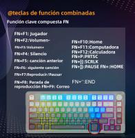 Teclado Mecánico De Juego E-YOOSO Hz82 RGB USB 8K Con Interruptores Magnéticos 82 Teclas Cable Desmontable Para PC Laptop - details 8