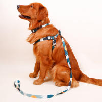 Juego De 3 Piezas Para Perros Abstracto Correa Y Correa De Anzuelo Con Arnes De Cuello En Nylon Para Caminar - details 5