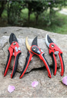 Tijeras De Jardinería Para Cortar Ramas Y Frutas Adecuadas Para Podar Árboles De Fruta Y Flores Herramienta De Orquidario - details 14