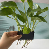 Soporte De Cultivo De Plantas Para Acuario Con Gancho Integrado Porta Plantas Vivero Decorativo Para Tanque De Peces - details 5