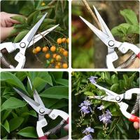 Tijera para Podar Maple Inoxidable - Ramas y Flores - details 4