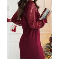 Vestido De Fiesta Para Mujeres De Color Sólido Elegante Con Cuello Redondo Y Mangas Largas Plateado S-XXL Estilo Casual Largo Hasta La Rodilla - details 1