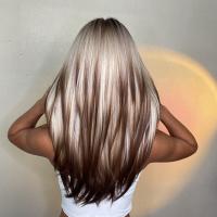 Pelucas Sintéticas De Encaje ALAN EATON Para Mujeres Rubia Con Mechas Marrón Y Corte Con Franja Peluca Larga Recta Ombre Heat Resistant - details 7