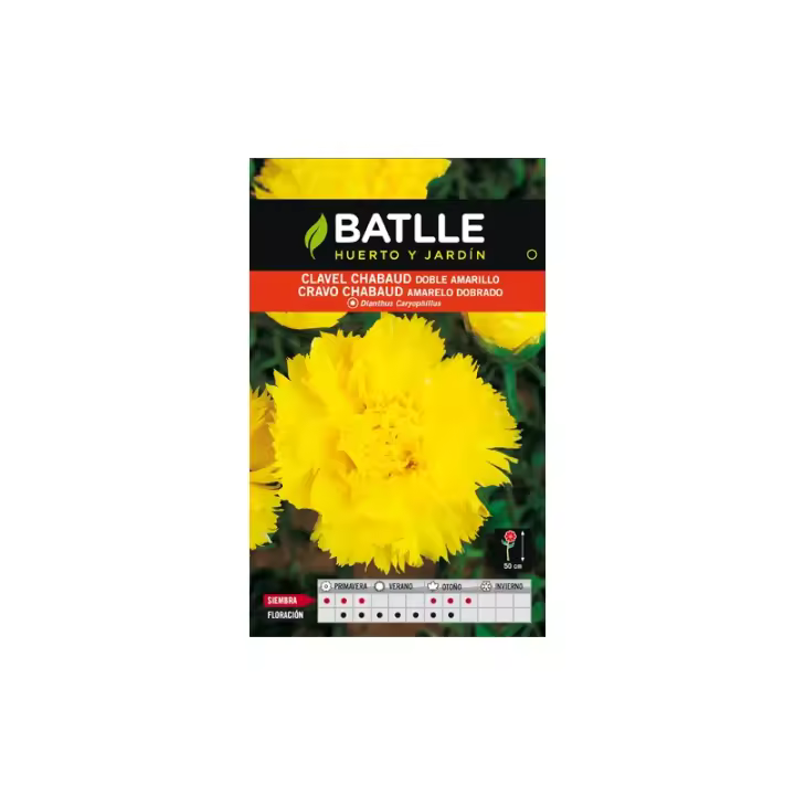 Batlle - CLAVEL CHABAUD DOBLE AMARILLO SOBRE - 1