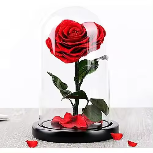 SUPERMOLON Rosa Eterna Bella y Bestia - Flores preservadas en Caja Regalo 28cm - Regalo San Valentín (Rosa Roja Corazón) - 1