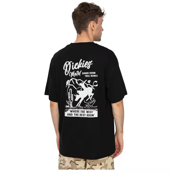 Camiseta de Manga Corta Dickies Aitkin para hombre en color negro - 1