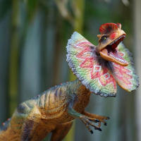 Juguete De Dinosaurio Dilophosaurus Con Bocaza Movable Figuras De Animales En Plástico Juguetes Para Fiesta Cumpleaños Regalos - details 2