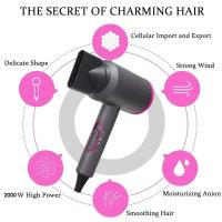 【Regalo para mamá 🎁 】Secador de Pelo 2000W Alta Potencia 2 en 1 - Peluquería Profesional & Hogar, Temperatura Constante con Protección, Ion Negativo, Alta Velocidad y Bajo Ruido - Portátil para Styling - details 1