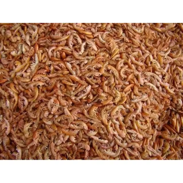 COMIDA PARA TORTUGAS A GRANEL GAMMARUS GAMBAS SECAS 500 ML-64 GR - 1