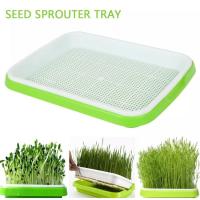 Plato De Crecimiento Sprout 33cmx26cmx5cm Para Microgreens Sistema Hidroponico De Sprouts Herramienta De Jardinería Y Agricultura - details 1