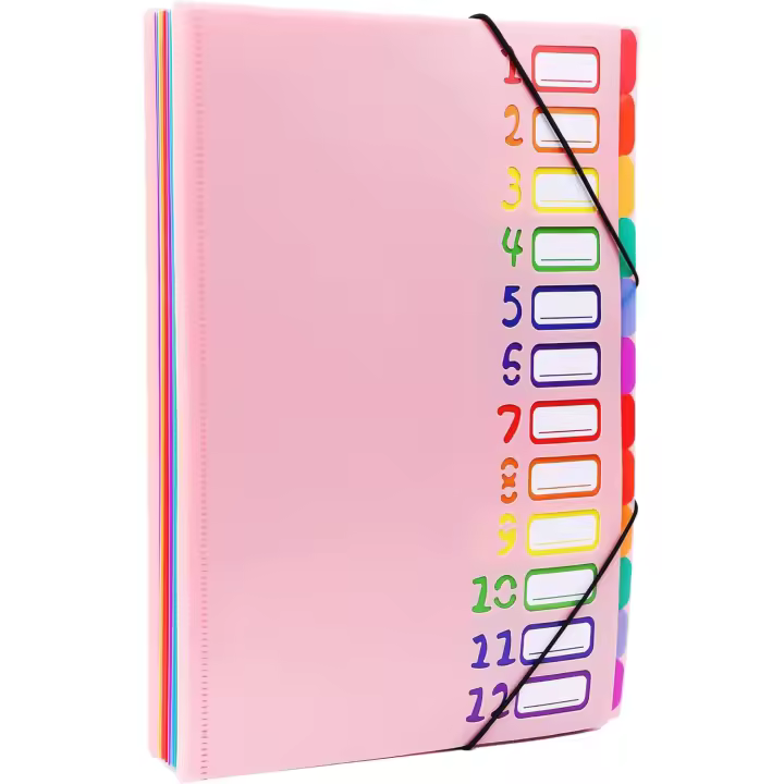 Organizador De Proyectos Expansible De 12 Bolsillos Folder Plástico De Gran Durabilidad Para Mensual A4 Tamaño Multicolor - 1