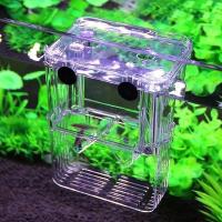 Incubador De Acuario Multifuncional Para Crecimiento De Peces Transparente 1L Con Doble Capacidad Para Guppies Y Reproducción De Peces - details 6