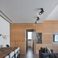 SpotLight LED 220V Luz De Punto COB Fijación En Techo Farol Plegable Fixture Luz De Banda Para Iluminación Interior Cocina Hogar - details 13