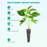 50Pcs Esponjas De Crecimiento De Semillas Reemplazables Plugs De Iniciación De Semillas Sistemas De Cultivo En Agua Jardín De Plantas - details 2