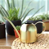 Maceta De Riego De Acero Inoxidable Con Boquilla Larga Accesorios De Jardín Para Plantas Sandía De Cobre Pulido Metal - details 5