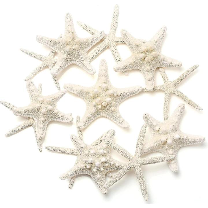 Decoración de estrellas de mar naturales: 12 piezas de conchas de estrella de mar a granel para manualidades y decoraciones
