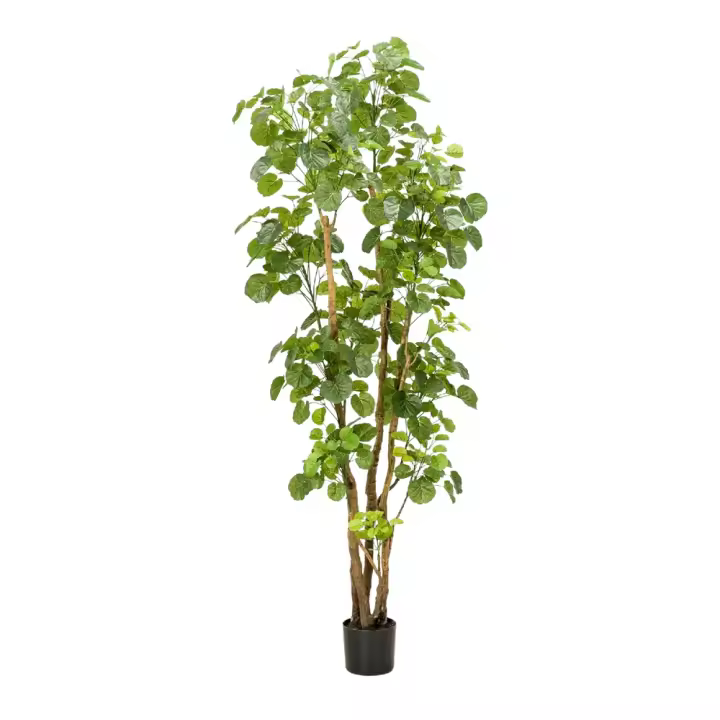 PLANTA ARTIFICIAL DECORATIVA ÁRBOL ARALIA - MISTERWILS FURNITURE FOR FREE SOULS - 1