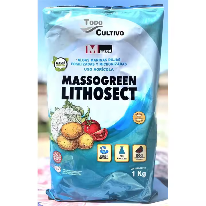 MASSO-POLVO PARA CONSERVA PATATAS NATURAL - 1