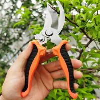 Tijeras De Jardín Profesionales Para Podar Ramas Y Frutas Herramienta De Podar De Uso Doméstico Y Duraderas Para Jardinería - details 5