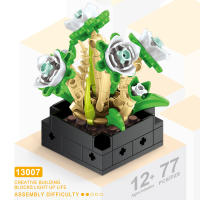 Juego De Bloques De Diamante 3D De Suculentas En Maceta Modelo Decorativo Para Mesa Juguete Creativo Y Relajante Para Adultos - details 0