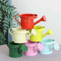 1PC Vaso De Riego De Metal Para Jardín Y Flores Pequeño Con Gran Capacidad Para Niños Y Adultos Para Rociar Plantas - details 7