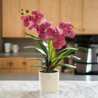 Orquídea Artificial Phalaenopsis En Maceta Planta Verde Para Jardín Oficina Hogar Bodas Y Decoración Interior Estilo Bonsái - details 5