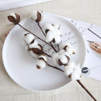 Rama De Flores Secas Blancas Artificial Para Decoración De Bodas Y Fiestas Eucalipto Y Algodón Decoración De Hogar Sin Químicos - details 11
