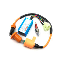 Set De Encendido CDI Ignition Coil Y Encendido De Puya Para Motocicleta De Alta Performance Adecuado Para Scooter Moto Gy6 150cc 125cc 50cc Piezas De Motorbike - details 1