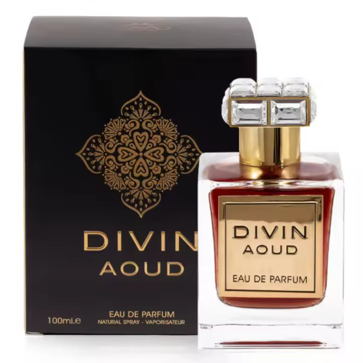 Perfume arabe unisex Divin Aoud French Avenue 100ml,Fragancia masculina y femenina duradera,lujosa,oriental Colonia de mujer y de hombre NOVEDAD - 1