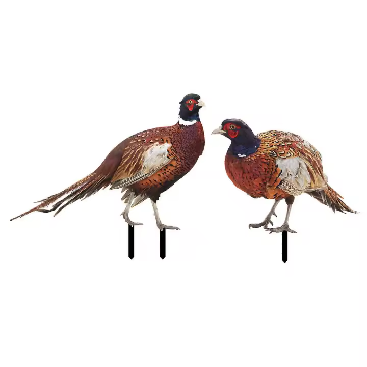 Juego de juego de Jardín de 2 fasianos Arte decoración patio céped Escultura - 1