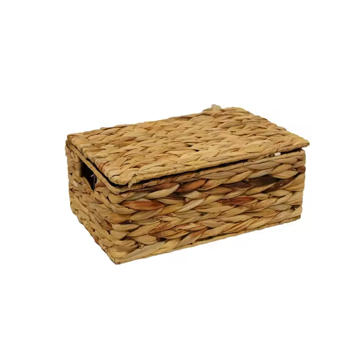 CAJA SECUOYA - 1