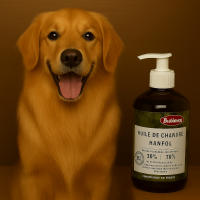 Aceite de Cáñamo Bubimex -  Ayuda a mejorar la condición de la piel y el pelaje de tu mascota - details 1